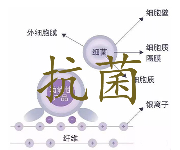 塑料抗菌的重要性