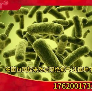 抗菌剂和杀菌剂的区别